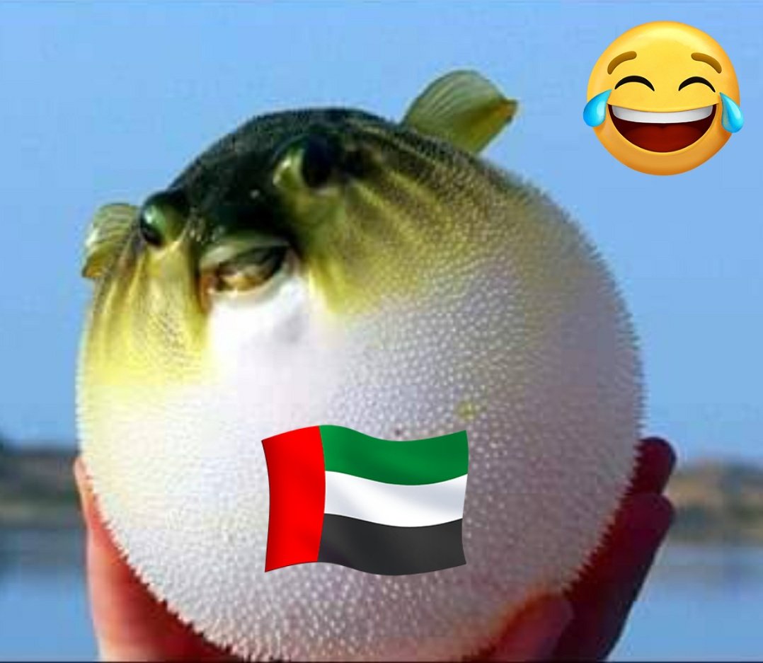 الباتشينو🇸🇦👑 tweet media