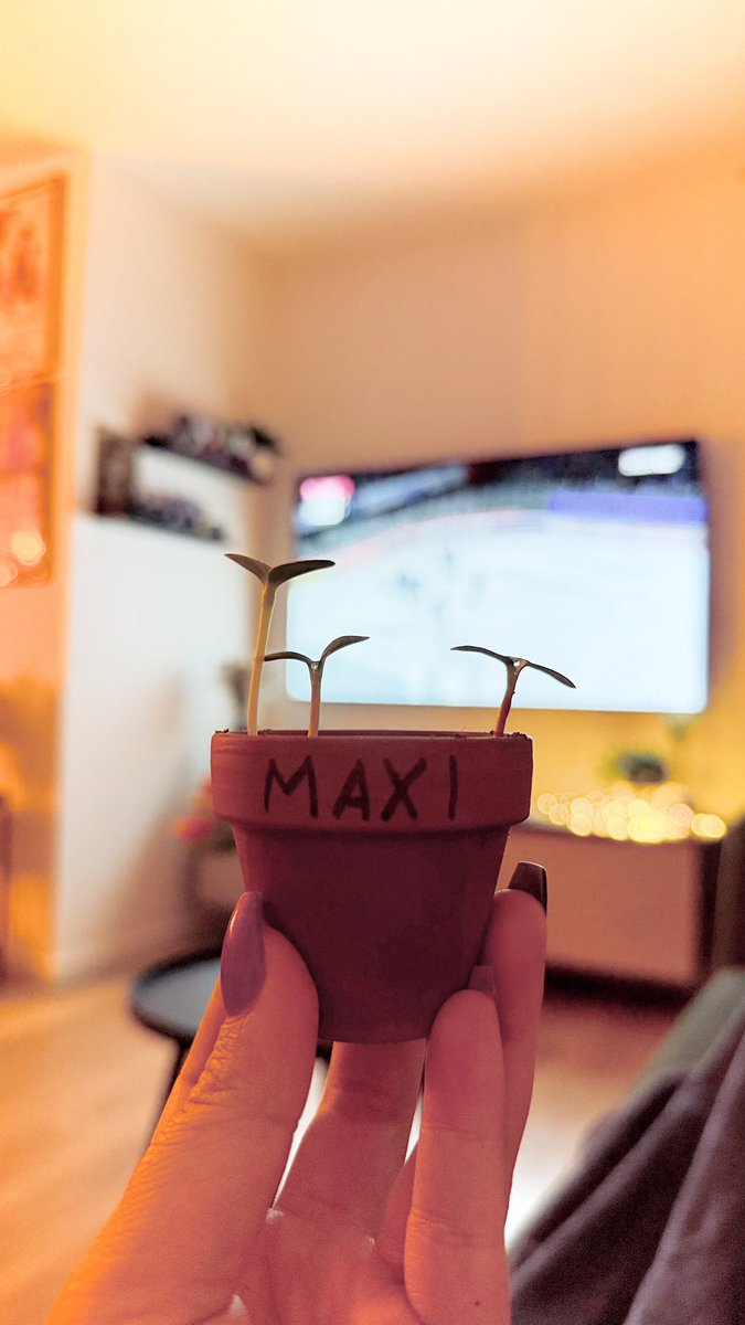 evathirtynine's tweet photo. mit maxi playoff schauen 🌻😎 #SWWKEC https://t.co/4tl3MWc3Tr