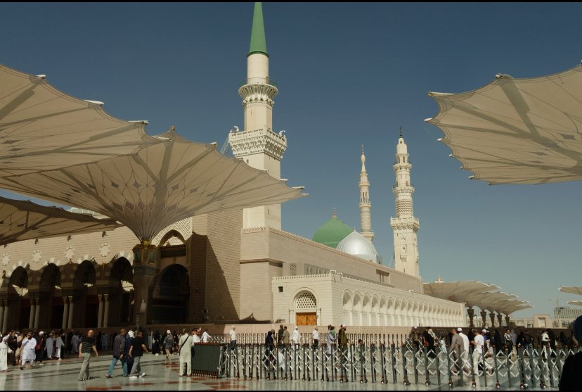 esra🪽 tweet media