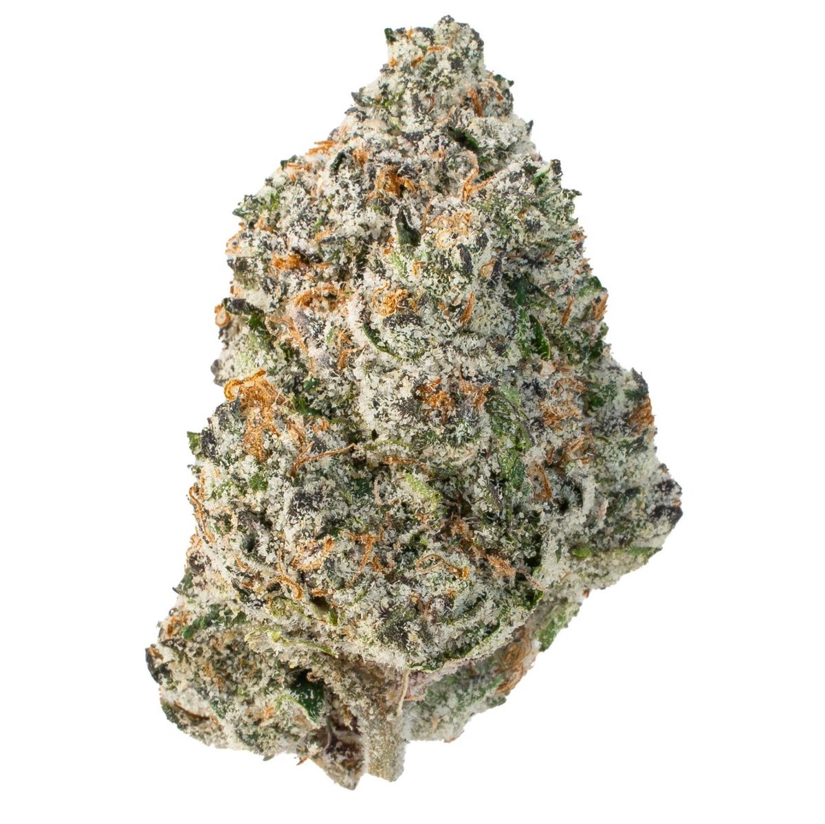 Chunky Academy tweet media