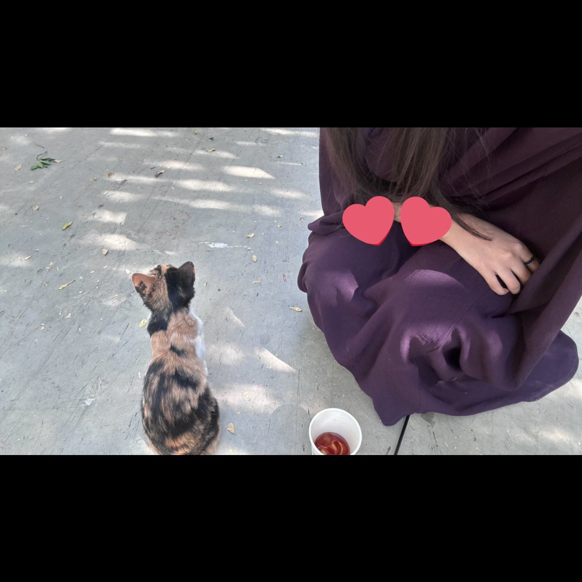 🧚🏻‍♀️ tweet media