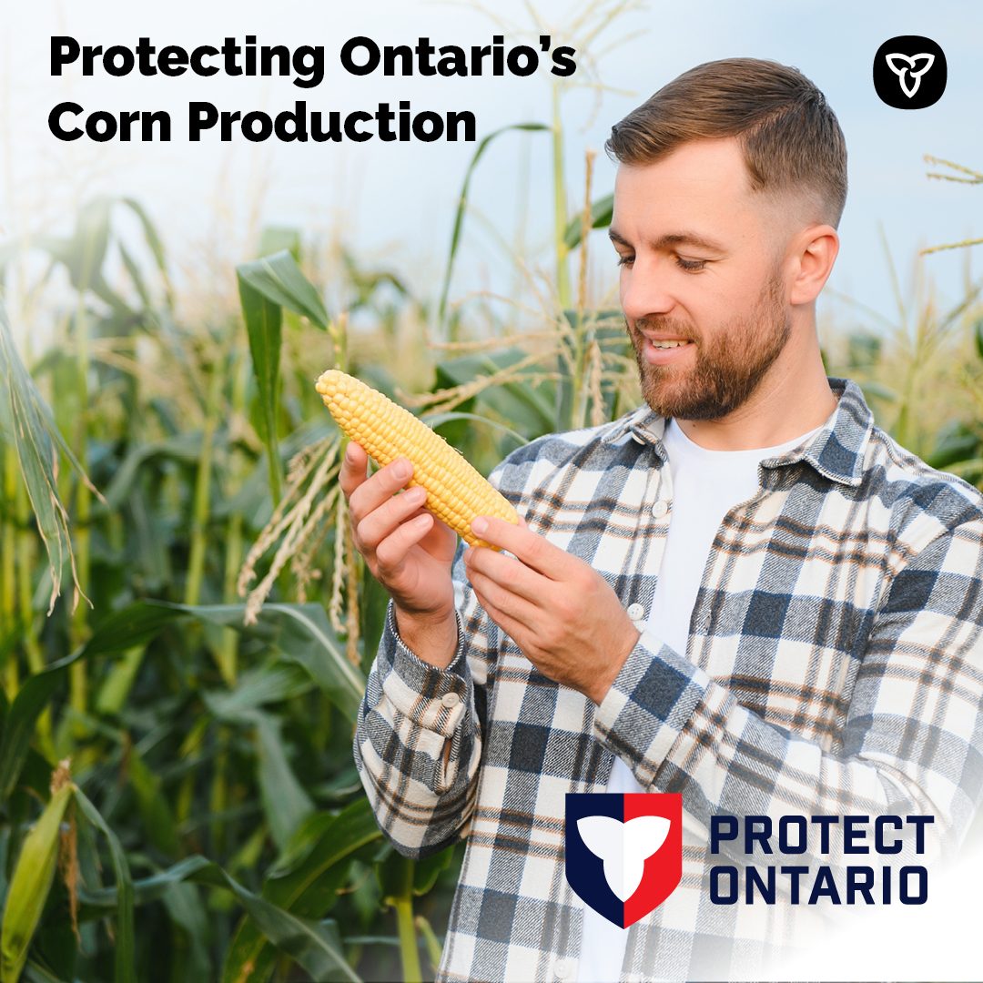 Ontario Agriculture, Food and Agribusiness tweet media