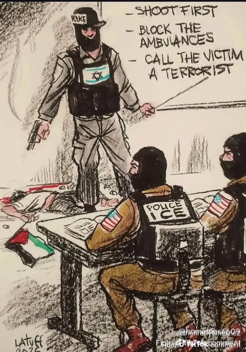 Nico Suave tweet media