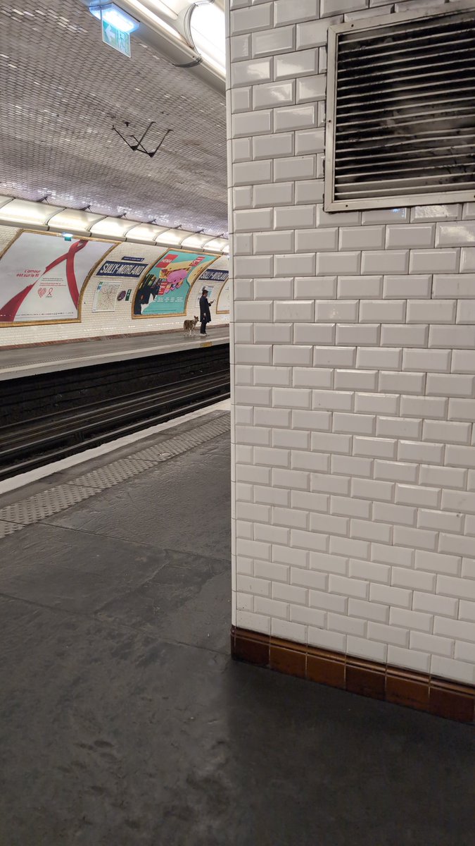 romain 🌱 tweet media