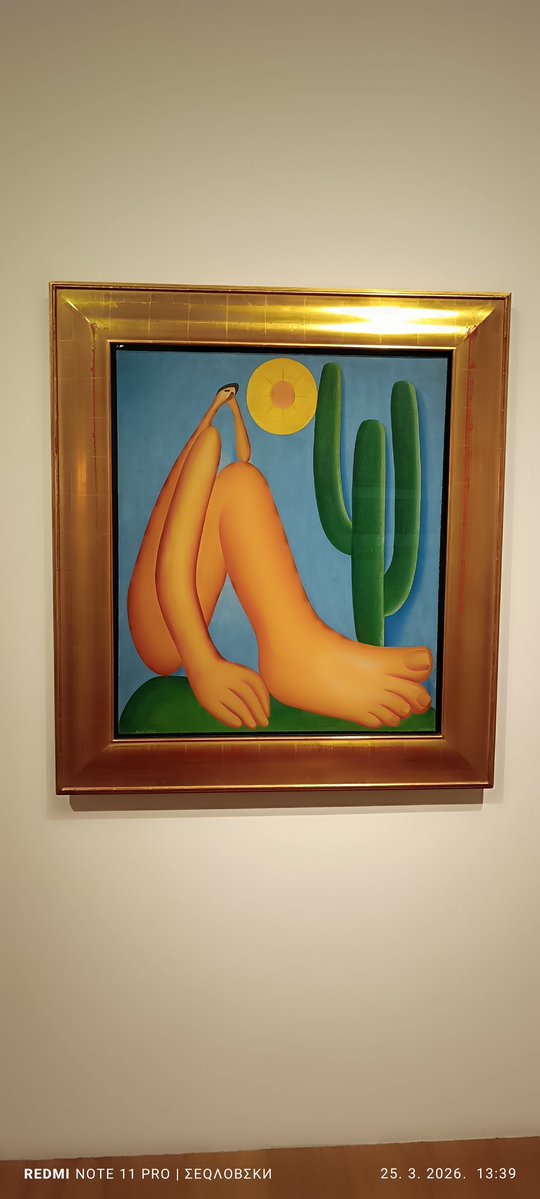 RotkvaStrugana tweet media