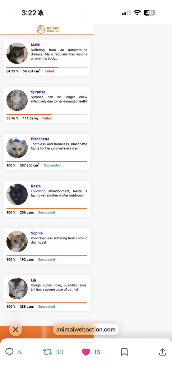 Patricia tweet media