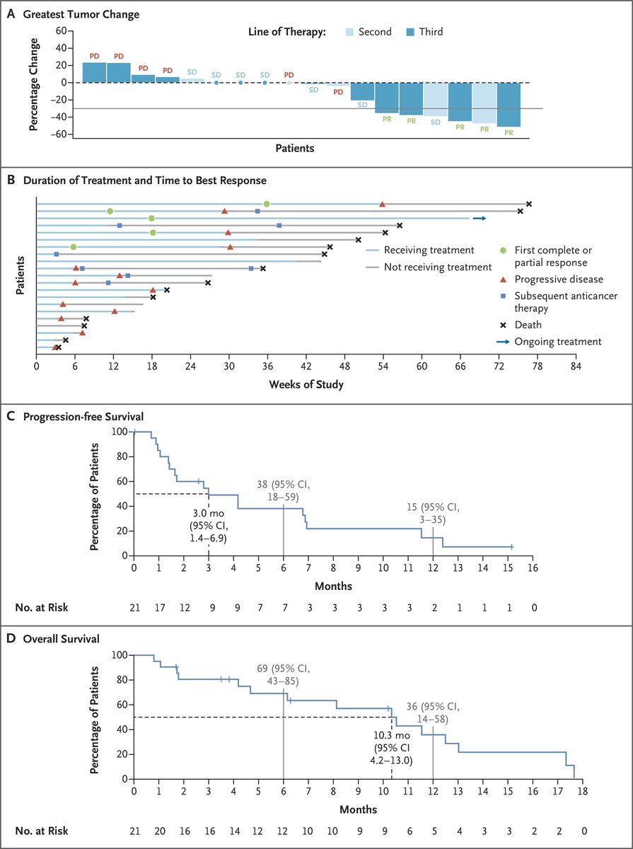 Nieves Martinez Lago MD PhD tweet media