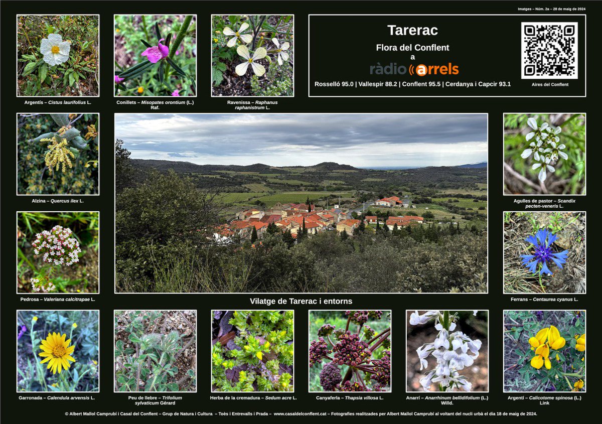 CasalConflent's tweet image. Tenim una Primavera ben moguda!
   Si escollim bé els itineraris de #Descoberta de #NaturaiCutura, al #Conflent veureu un #Patrimonicultural  incrïble!
Us hi esperem!
Amb temps, estem preparant espais digitals per gaudir dels llocs invisibles! @AteneusCat @CasalsiAteneus