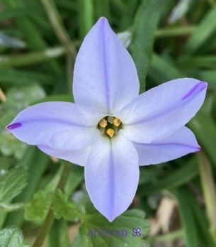 あっひゃん tweet media