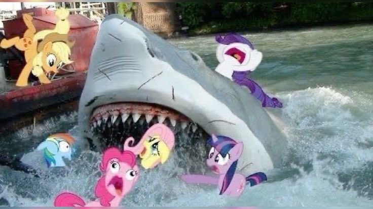 Birdie🇮🇳 tweet media