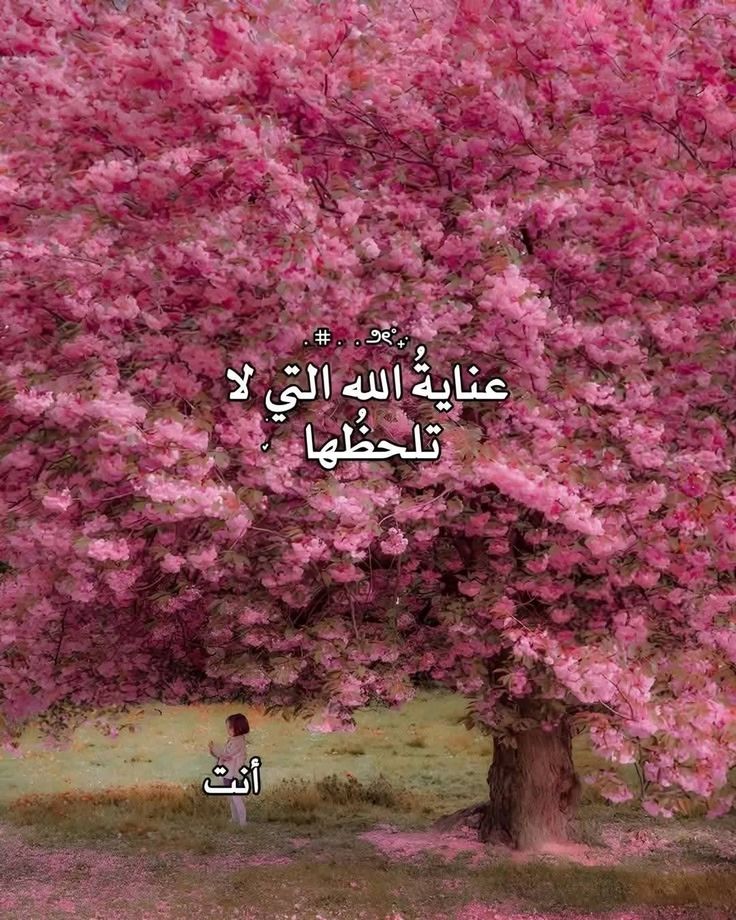 فُـلانـﮩ tweet media