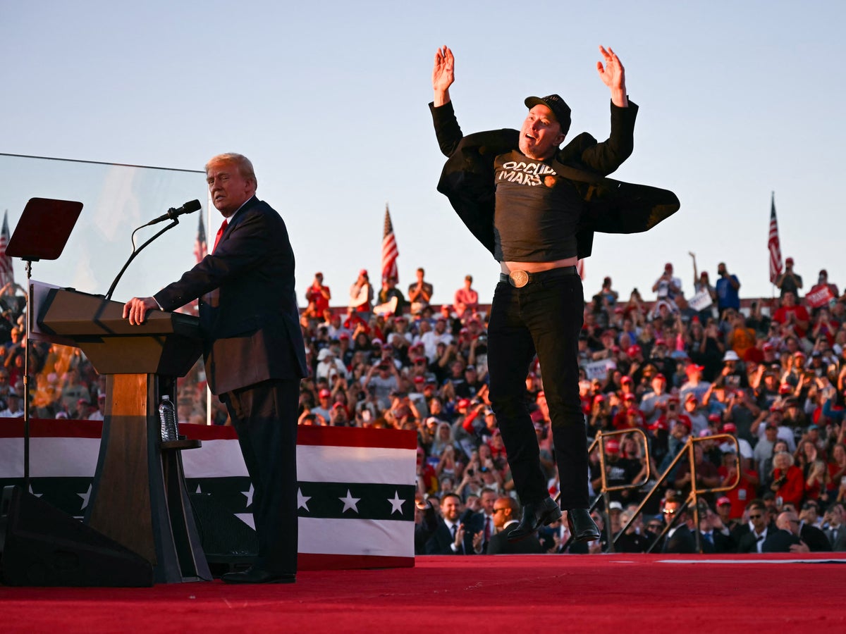 Baby Frog 🐸 tweet media