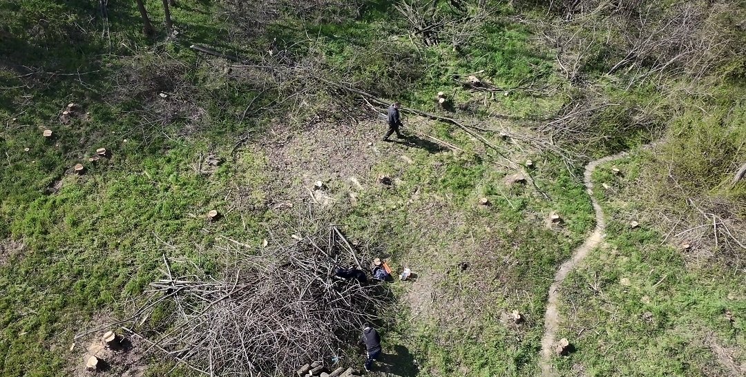 Marko M. Dragoslavic tweet media