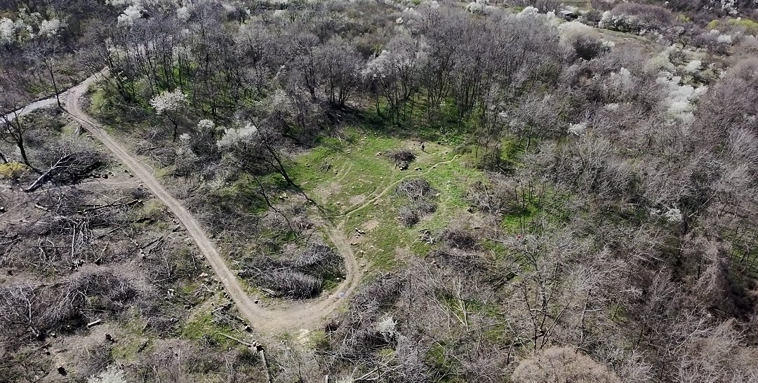 Marko M. Dragoslavic tweet media