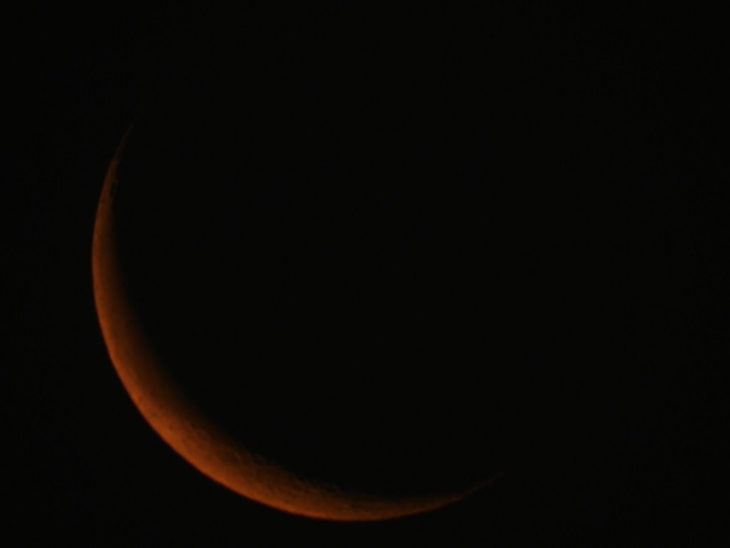 پـــرنــدے tweet media