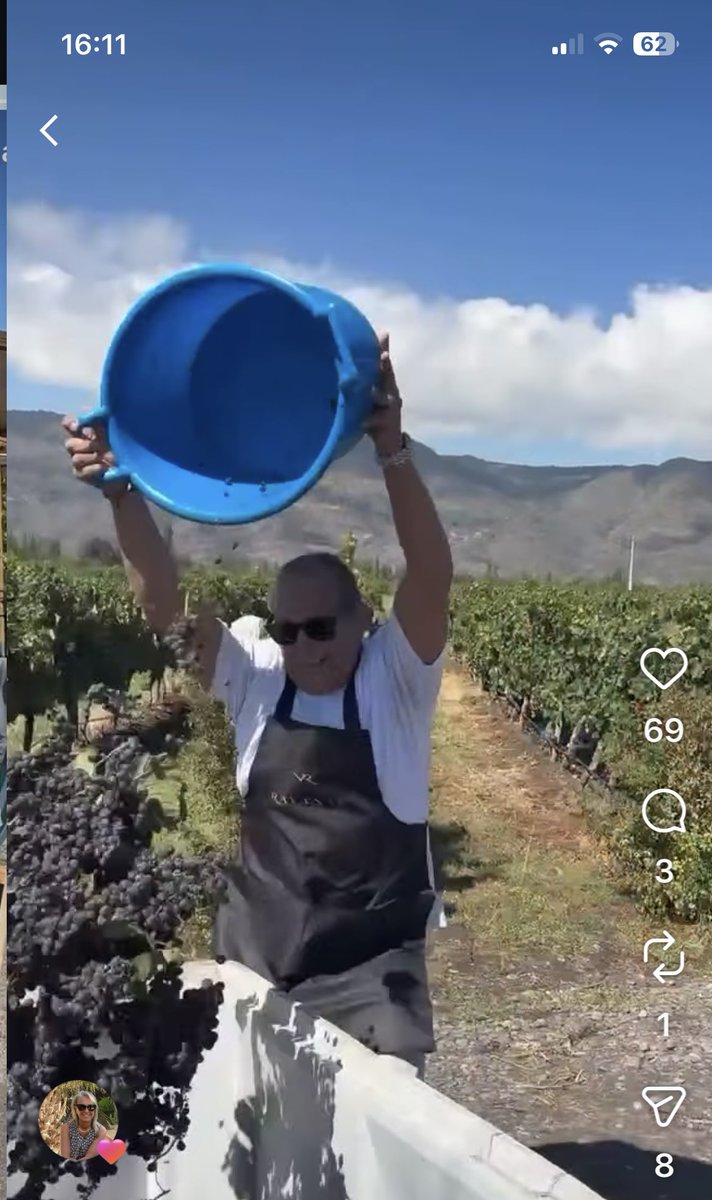 giturrieta's tweet photo. Estuvimos en Viña Ravanal este sábado "trabajando en la vendimia".. muy entrete .. hasta pisamos uvas.. gracias mil por la invitación. https://t.co/kMhgVAqEQ2