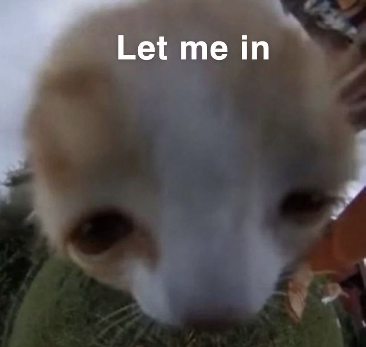 jess。⋆ * ⋆. 𐀔 tweet media