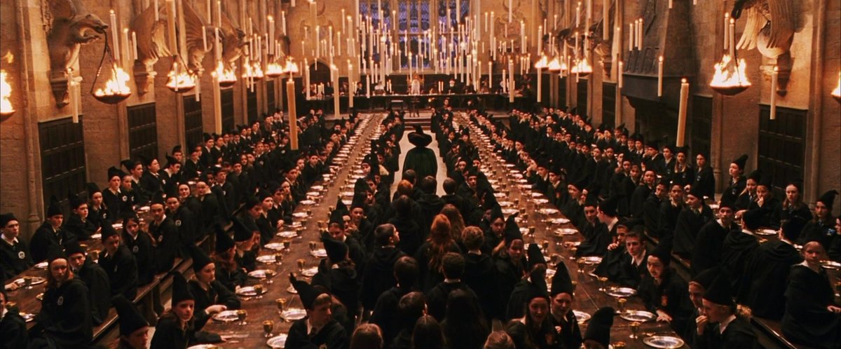 Iker Torterra tweet media