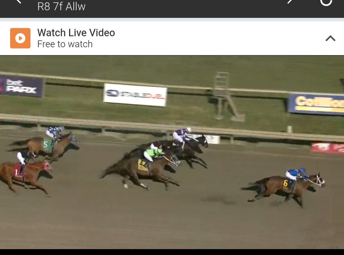 A.I.Ello Vs The Bookies tweet media