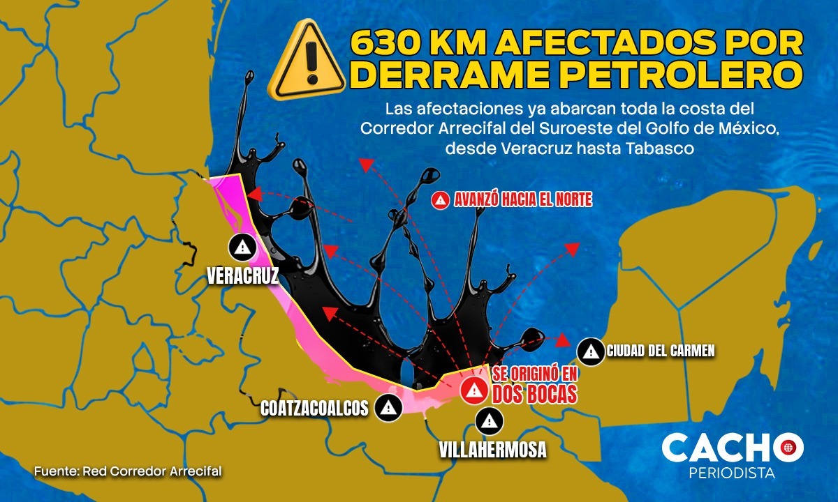 Alejandro Cacho tweet media