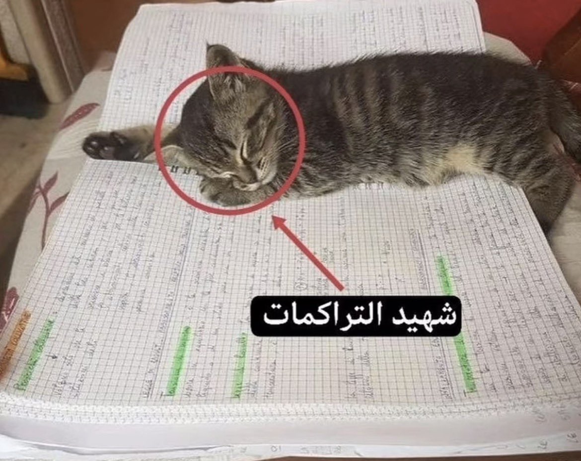 يحصل