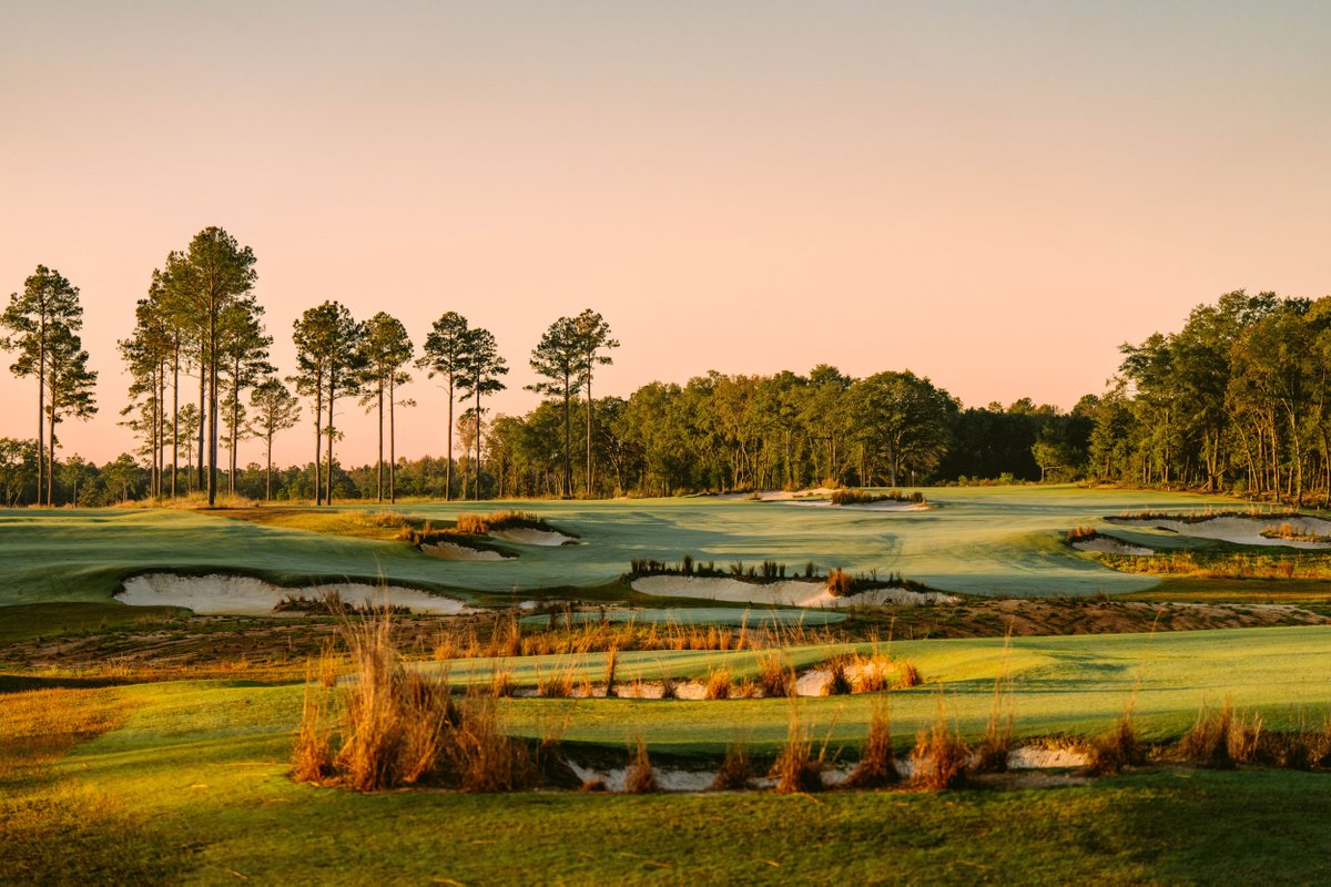 Broomsedge Golf Club tweet media