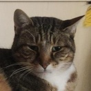 Candi Ausman tweet media