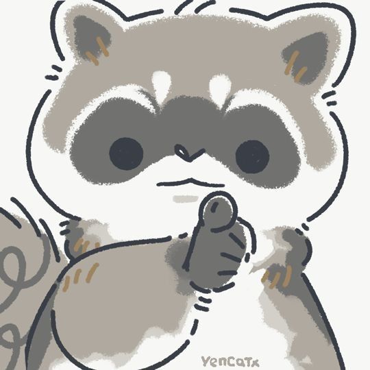 Why you should have a Raccoon tweet media