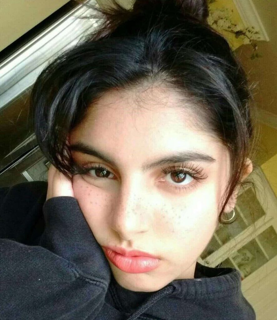 Huda Mustafa Hourly tweet media