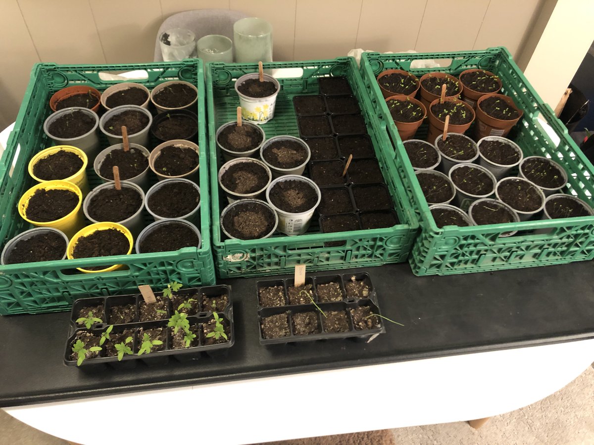 Simon Wood tweet media