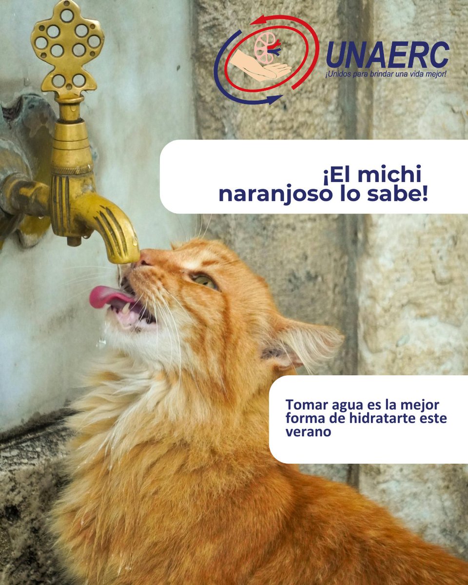 UNAERC Guatemala tweet media