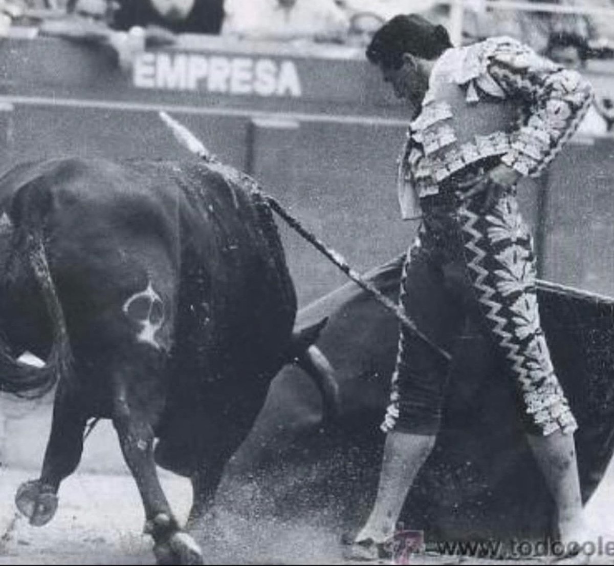 Don Rafaé El Pipo tweet media