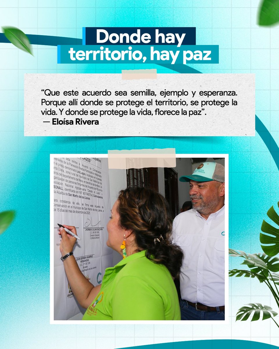 Cormacarena tweet media