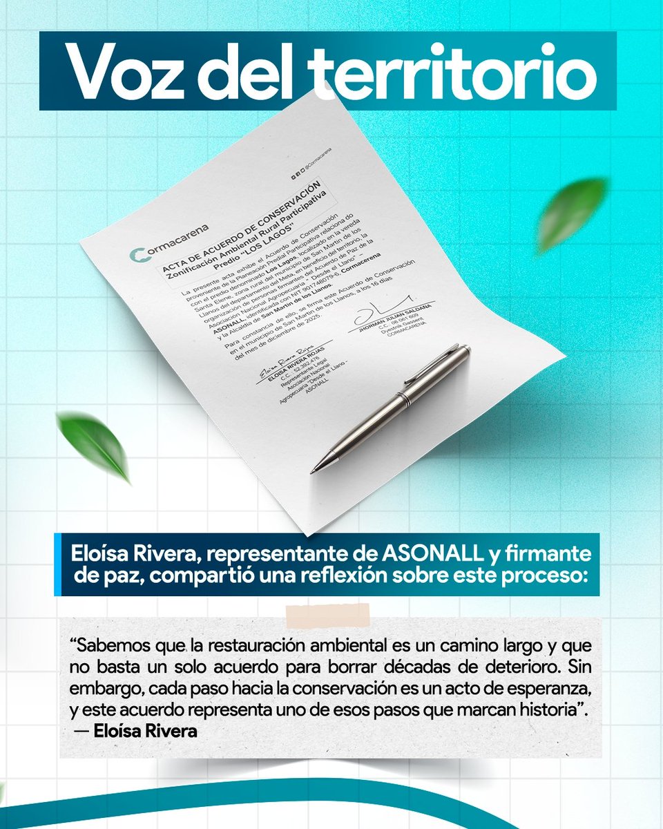 Cormacarena tweet media