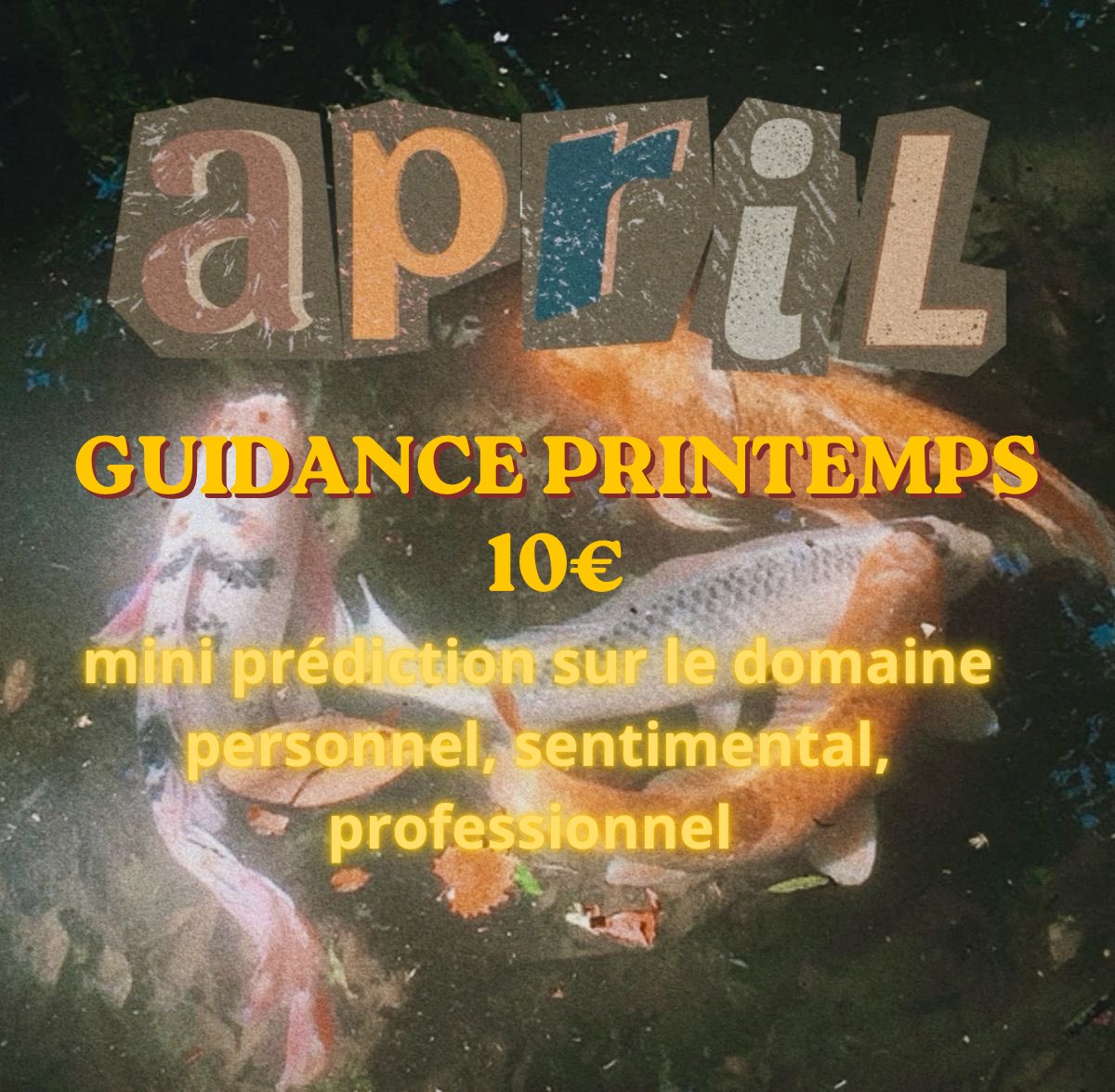 🍓 mélo tweet media