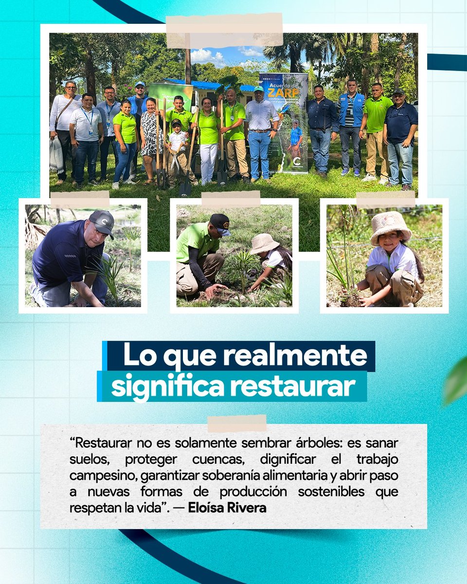 Cormacarena tweet media