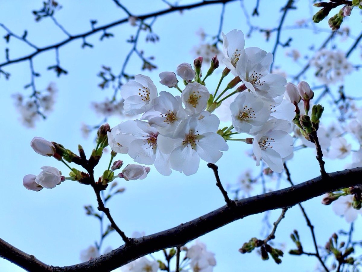 わにやのかあちゃん tweet media