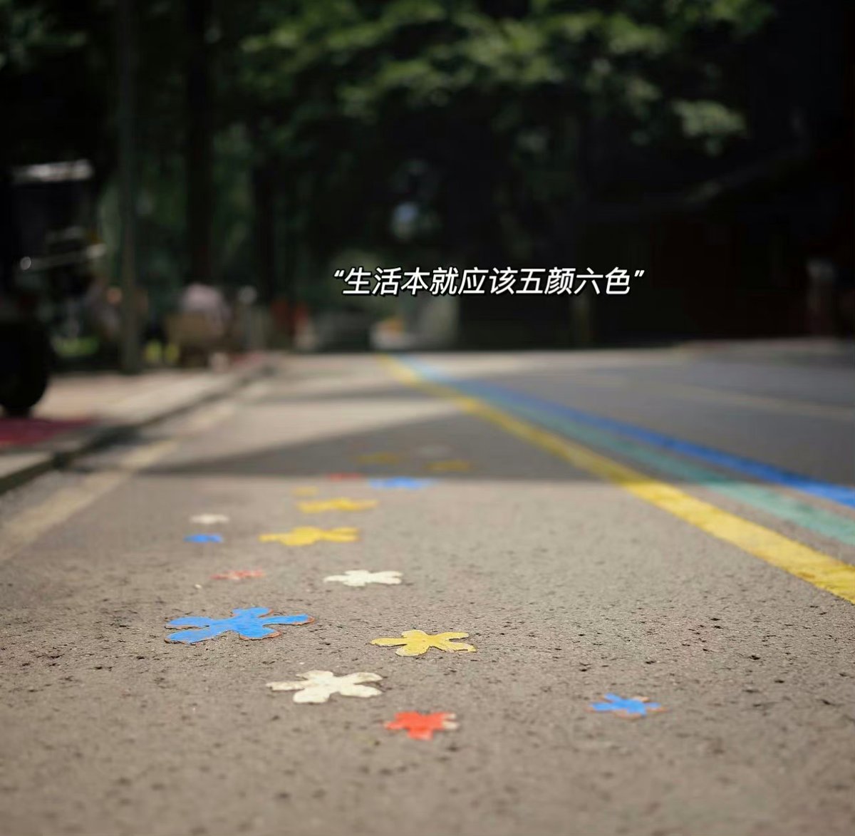 Trương Tài Minh ❤️ Memecoin tweet media