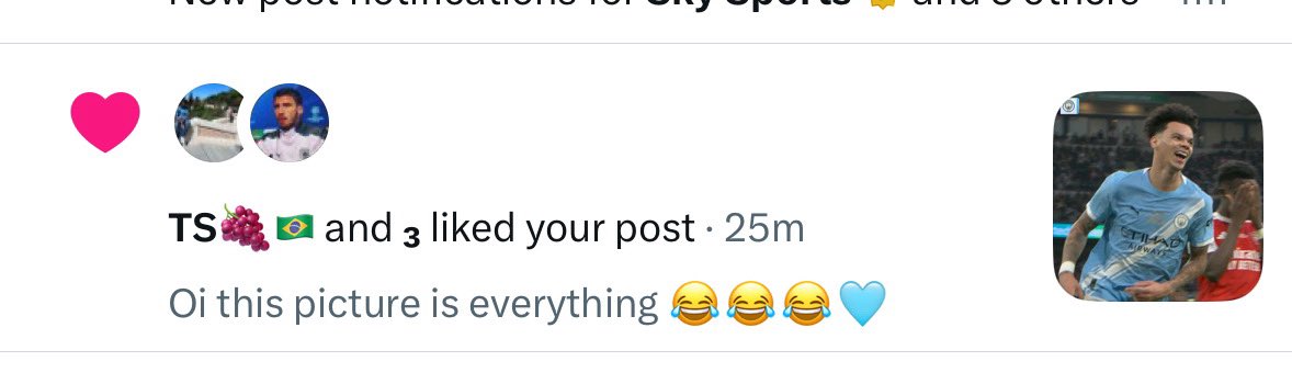 ⚡️🇧🇼 tweet media