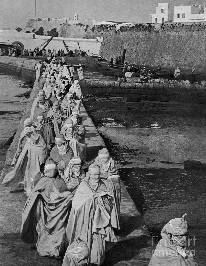 خيمة العروبية tweet media