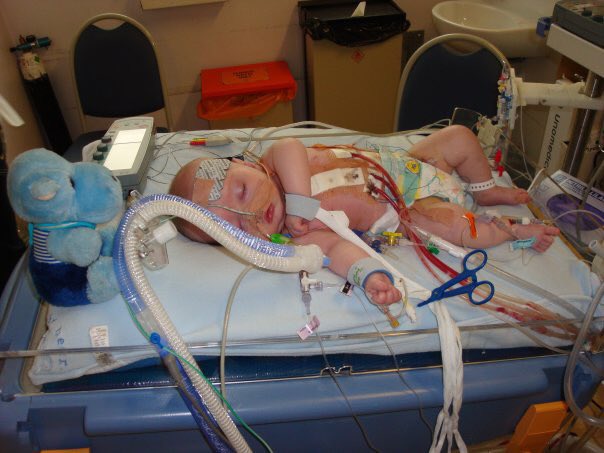 Ivan Hollingsworth♥️💙♥️ tweet media