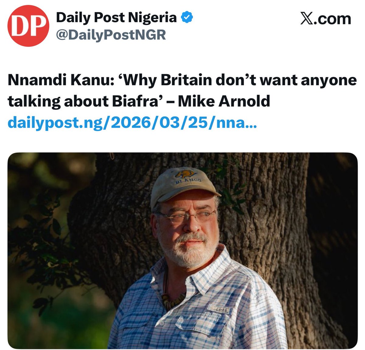 Bia Pulse tweet media