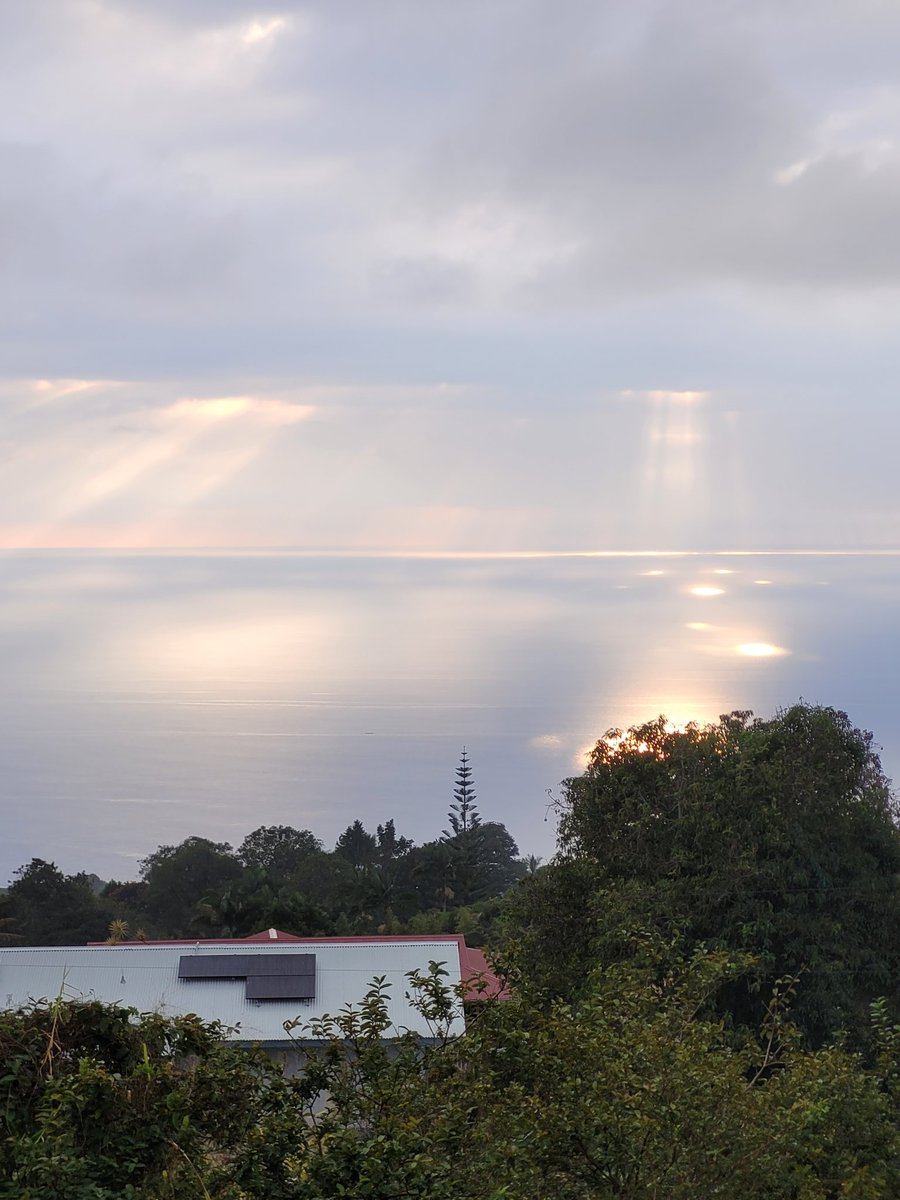 ThievingClient tweet media