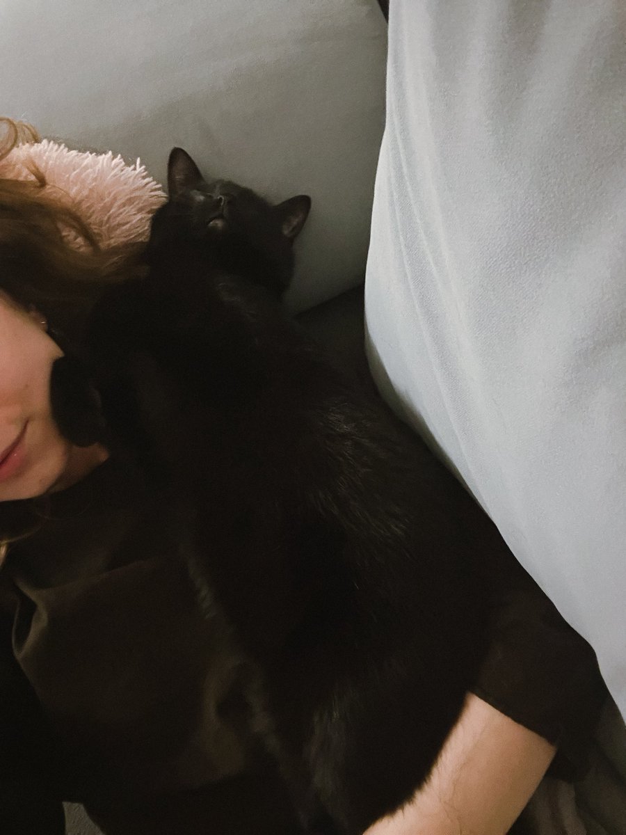 Юлія Шустова tweet media