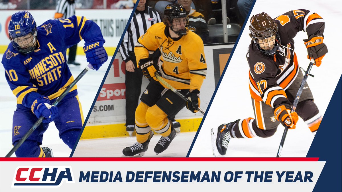 Tech Hockey Guide tweet media