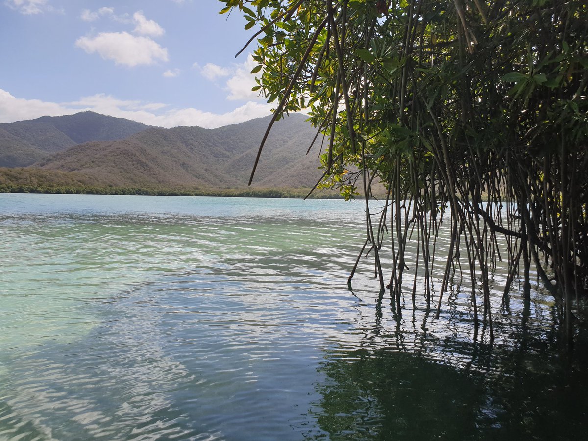 Catica Craft Chocolate tweet media