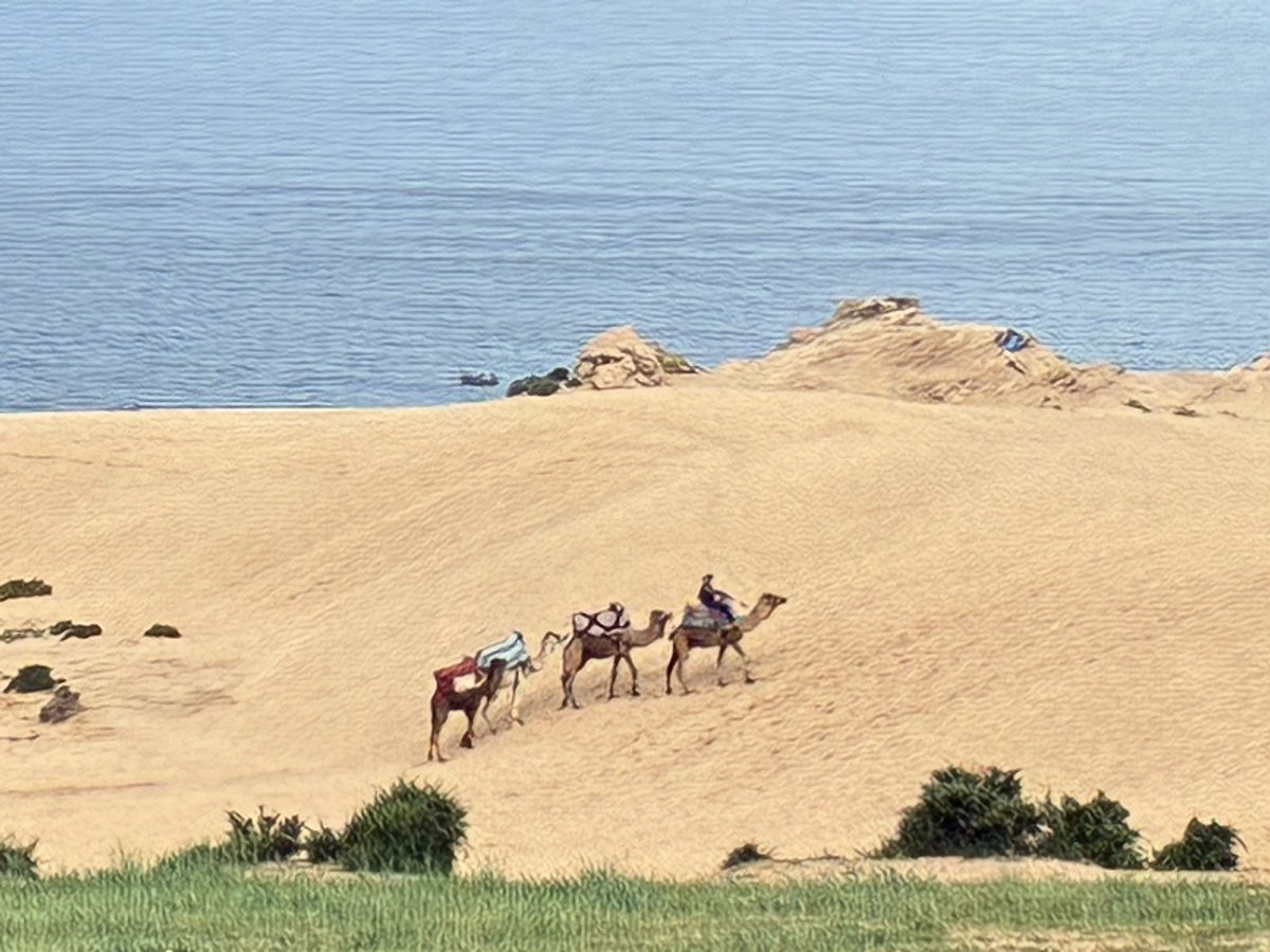 Alan Davies tweet media