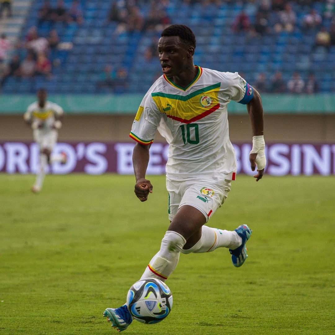 FenerFusion tweet media