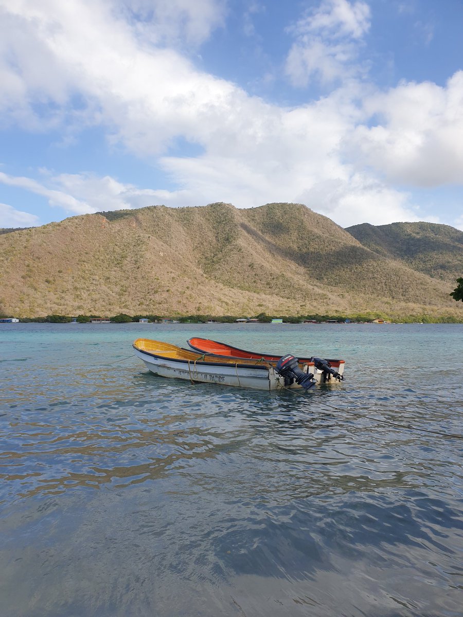 Catica Craft Chocolate tweet media