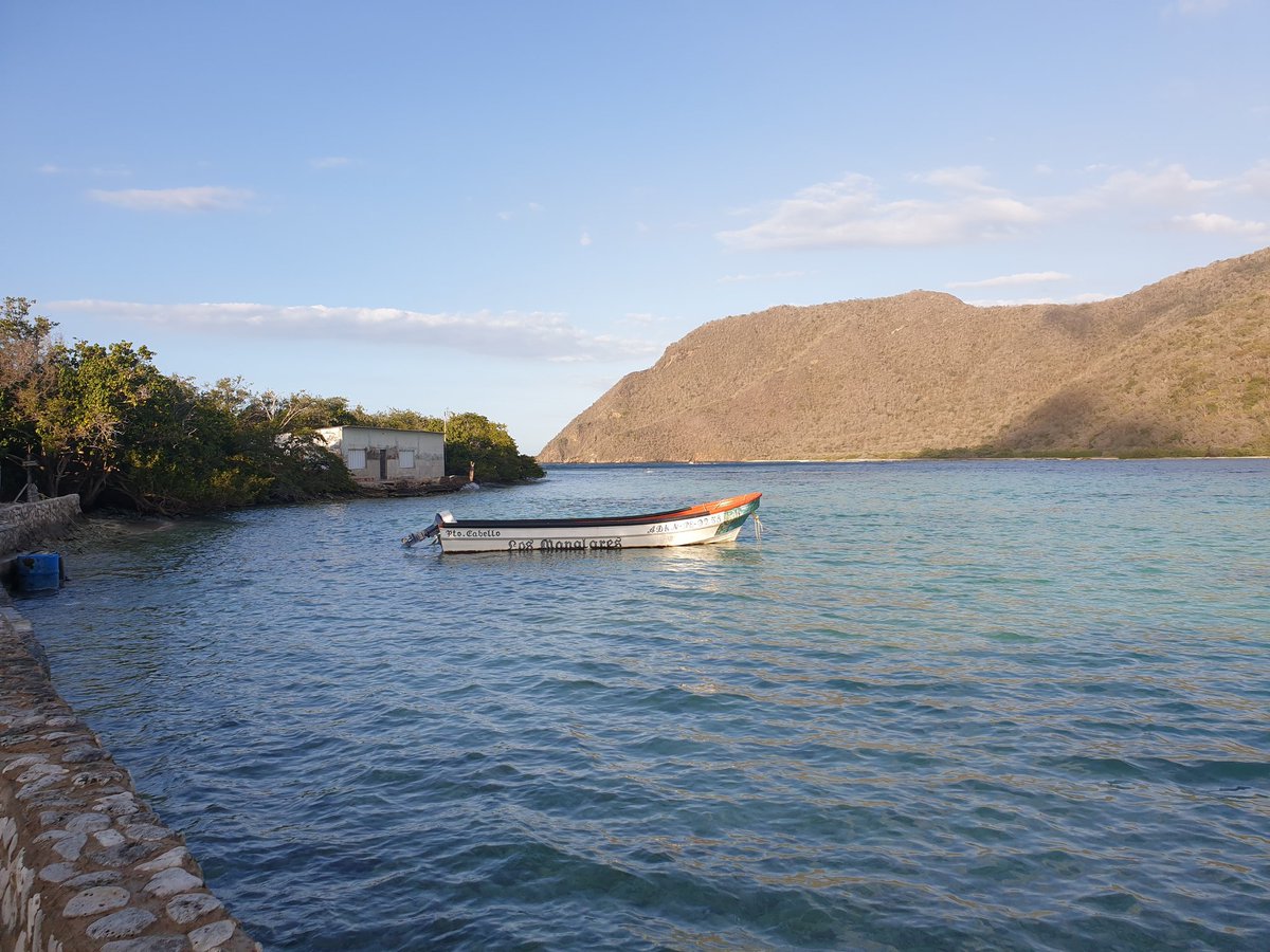 Catica Craft Chocolate tweet media